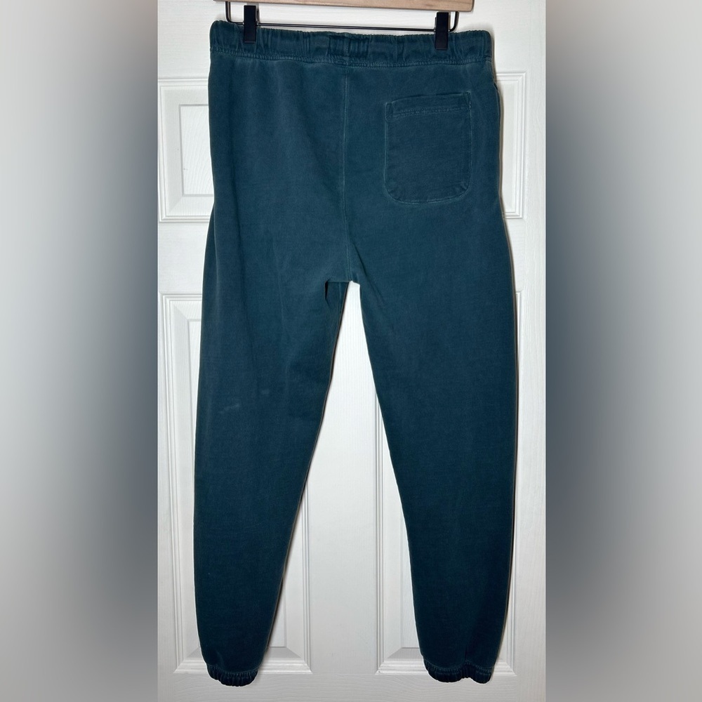 American Eagle Outfitters Teal Joggers Size M Streetwear Athleisure Distressed - Picture 11 of 15